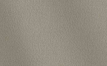 Pflegesessel VIANDO+ mit LONGLIFE-Leder. Bezug in vielen Farben für den Pflege-Sessel