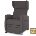 Kurze Lieferzeit: VIANDOpflege® in anthrazit mit Rollen, Aufstehhilfe, Akku und Ohrenbacken